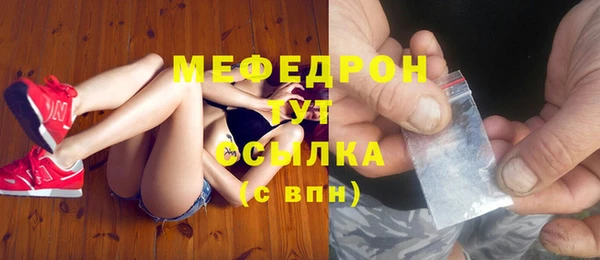 индика Михайлов