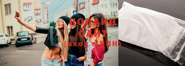 индика Михайлов