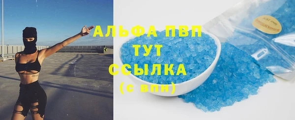 прущие грибы Балахна