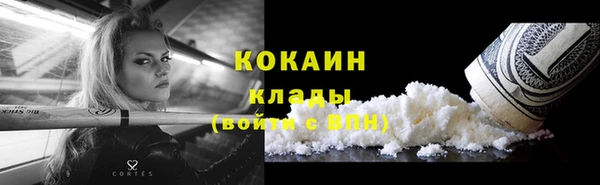 индика Михайлов