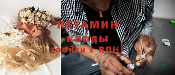индика Михайлов