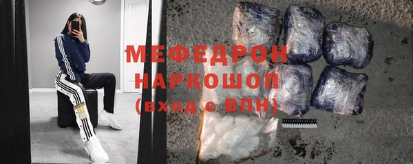 индика Михайлов